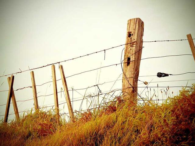 cremin_pasquale_ahZk