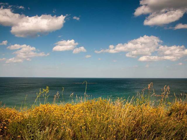 leopold_abshire_zwt7