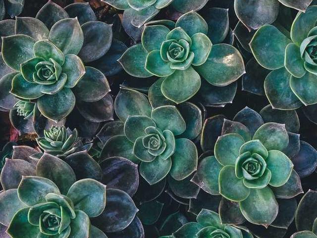 quitzon_jillian_tJQ5