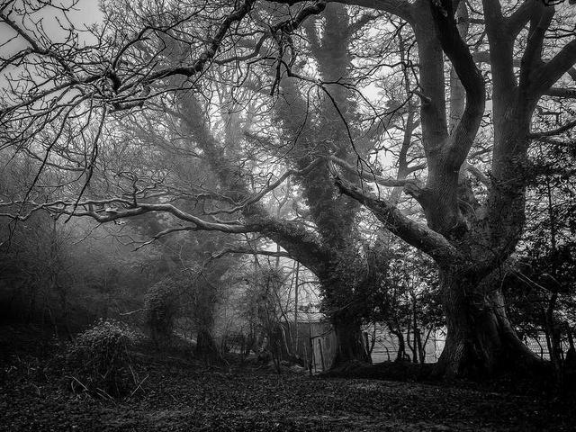 karina_luettgen_fGDP