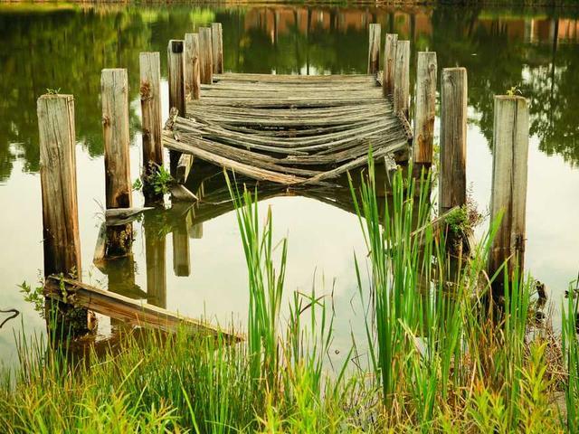 vaillant_pauline_Nz92