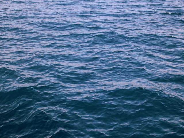 vandervort_orland_gxY0