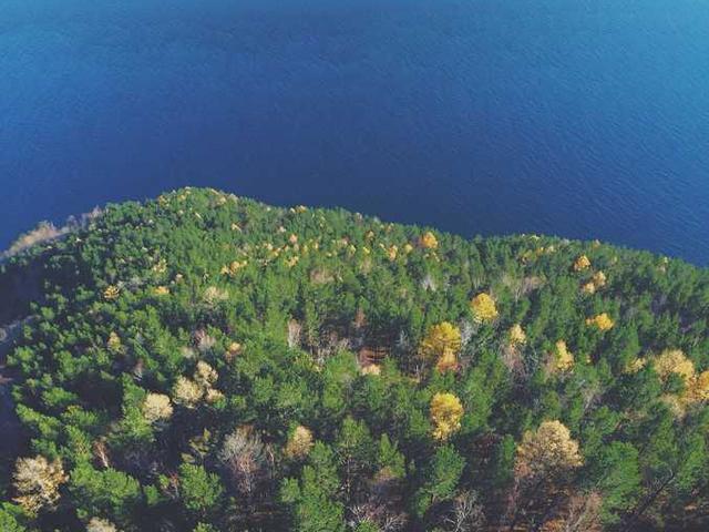 breitenberg_lori_YCxk