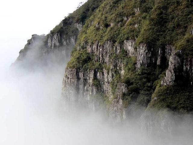 jenkins_wellington_5zfX