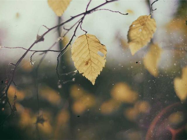 stanley_rutherford_6yBZ