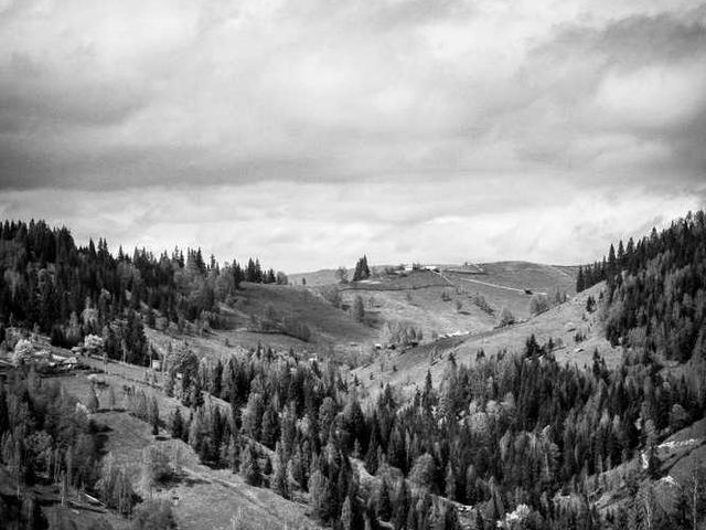 gabrielle_camus_fP2p