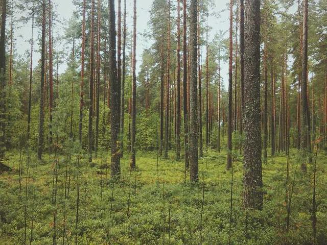 vince_daugherty_izYH