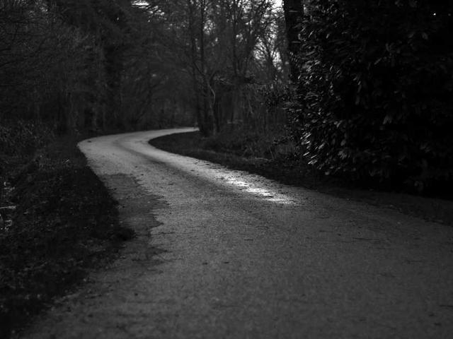 franecki_laurie_FII4