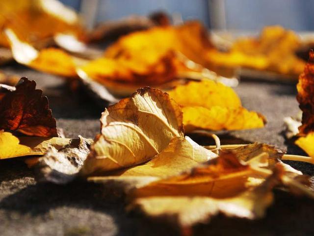 nikolaus_matilda_oNdf