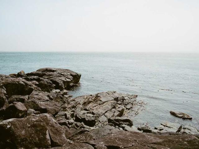 elenora_schmitt_zITP