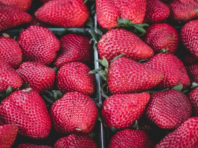 dasilva_theodore_ZuK6