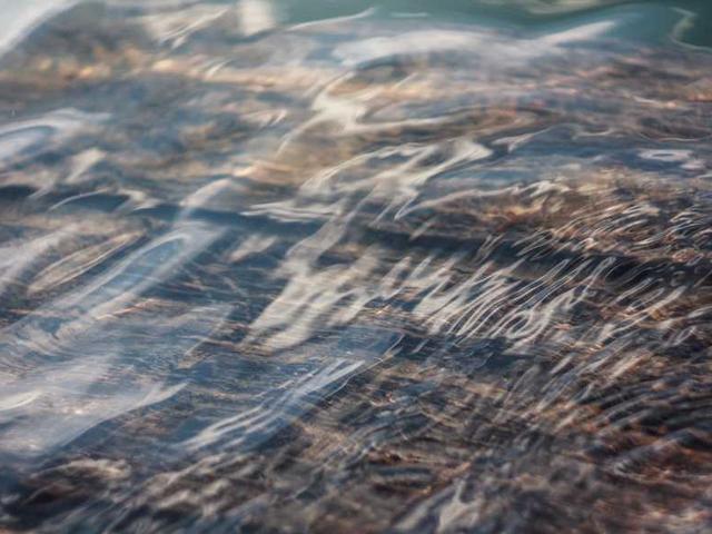 legendre_stephane_RhM1